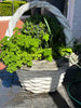 Planter concrete basket weave design