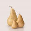 Marble Pear - Medium
