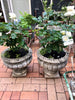 Urn French concrete L pair