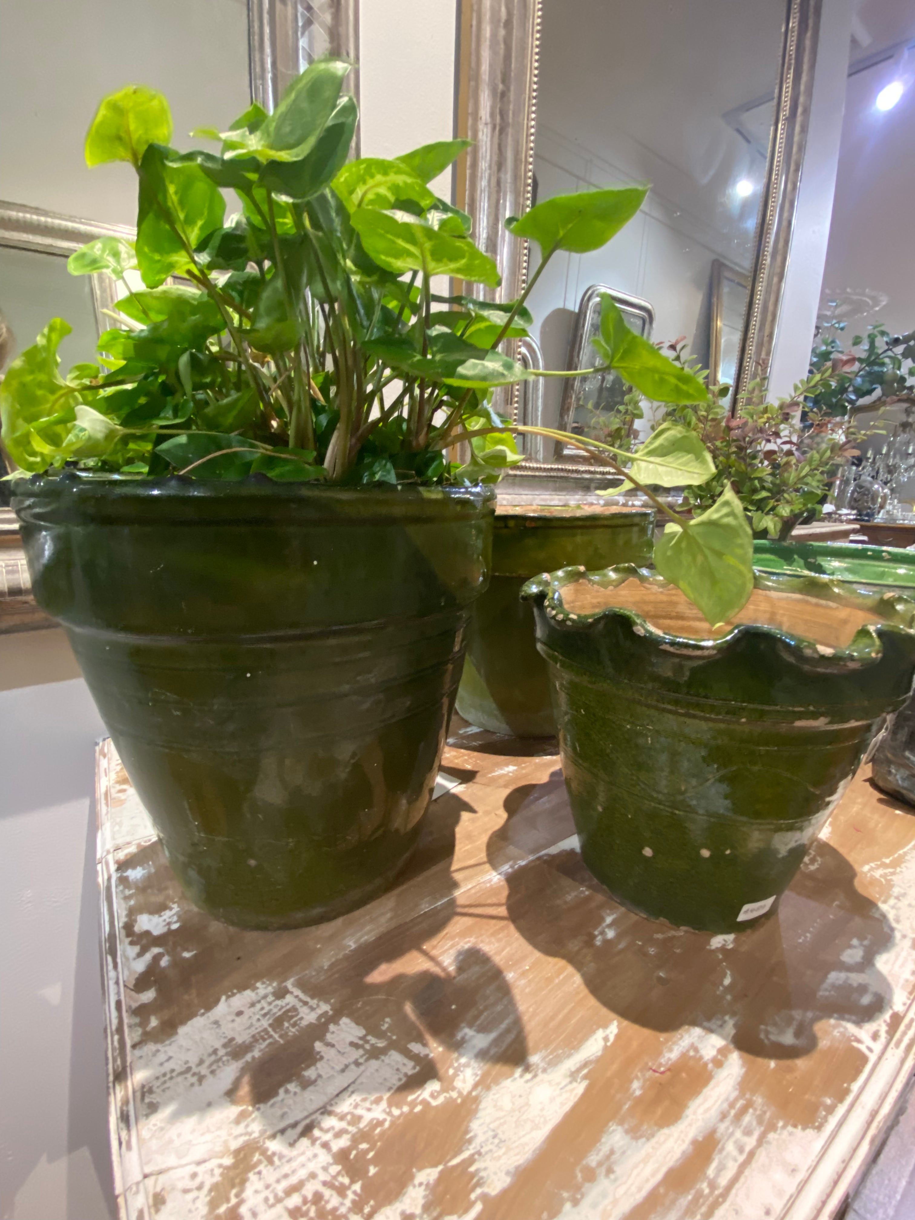 Green Planter H27
