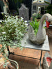 ✅Swans pair 49cm(SOLD)