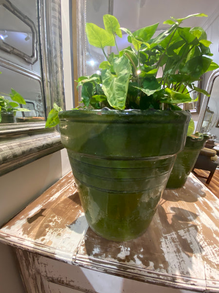 Planter green H27