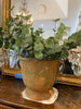 Urn French terracotta