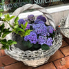 Planter concrete basket weave design