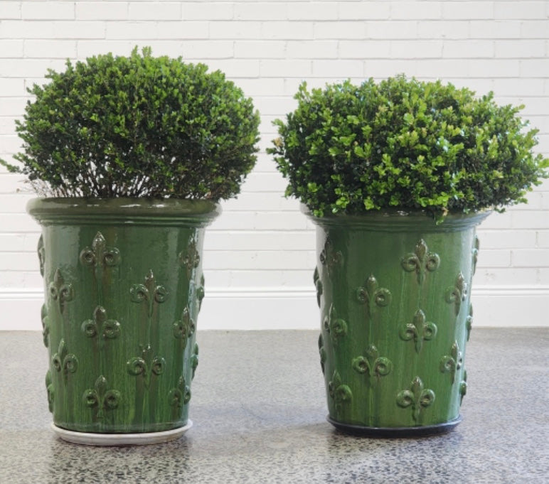 Fleur de lys planter pair H110 W55