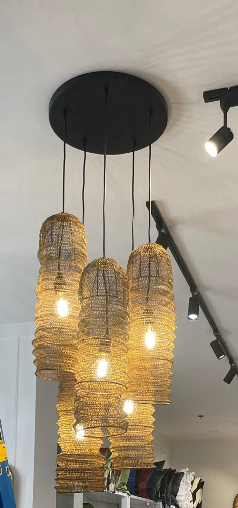 Ceiling mesh drop lights