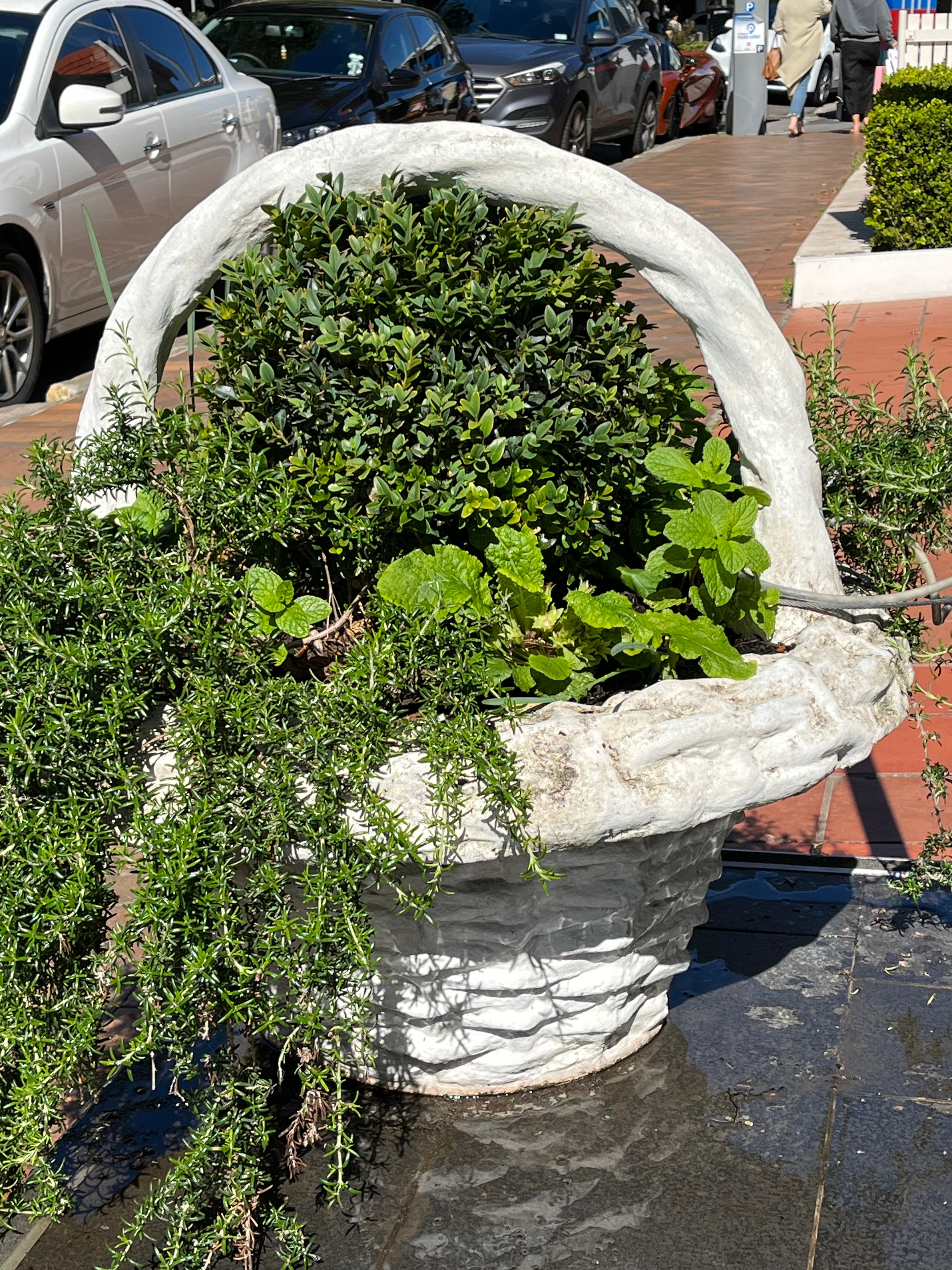 Basket style Planter weave design