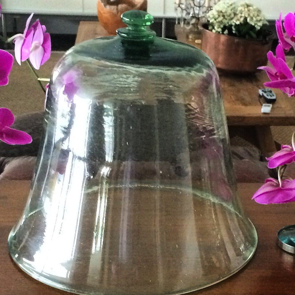 Cloche glass  19th Century french