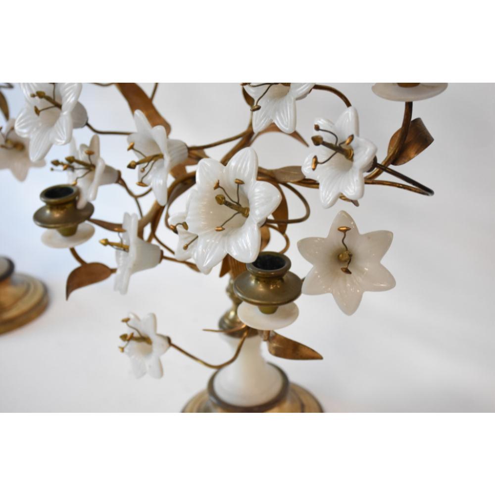 Candelabra blossom