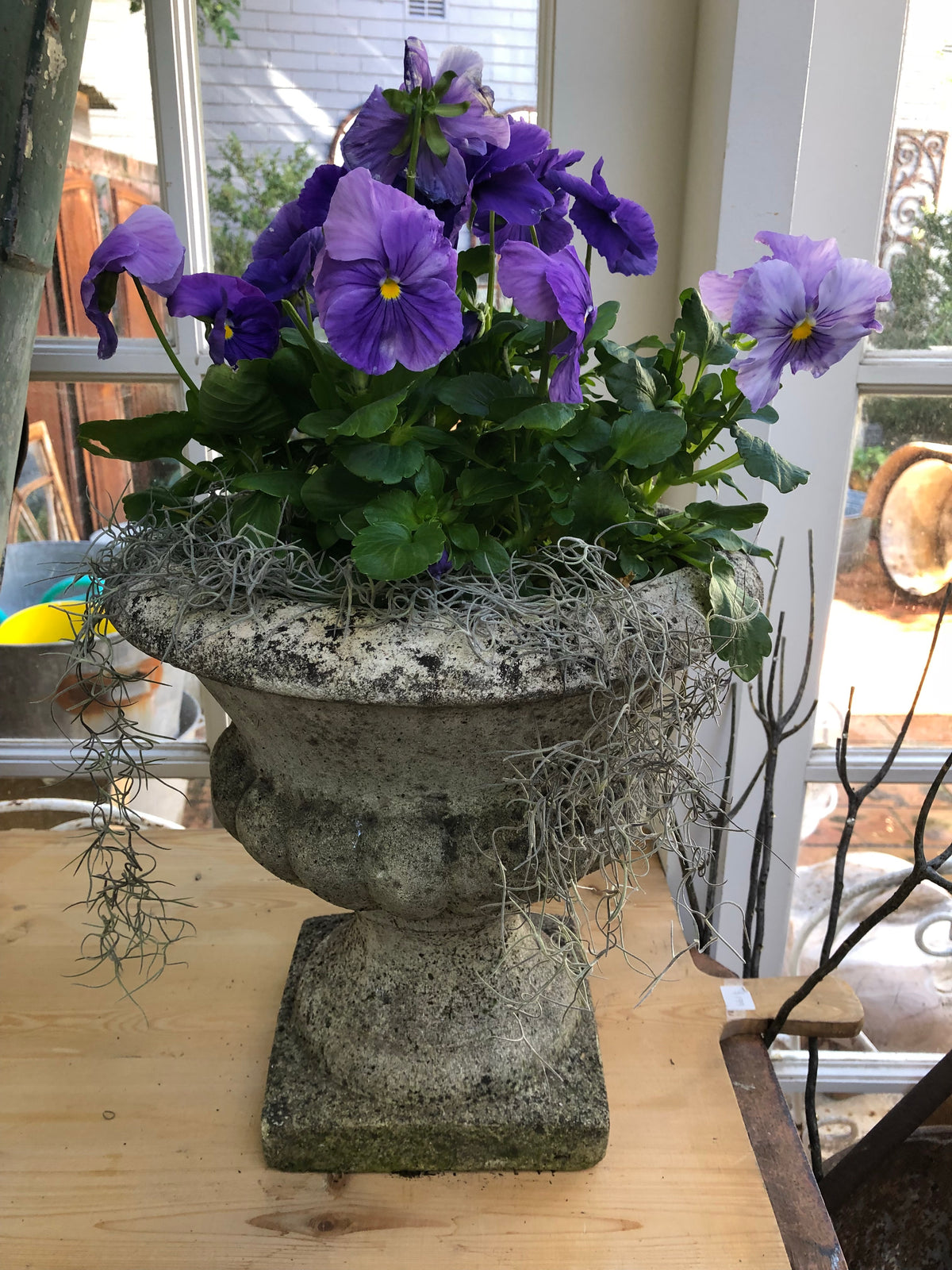 Urn French concrete pair