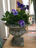 Urn French concrete pair