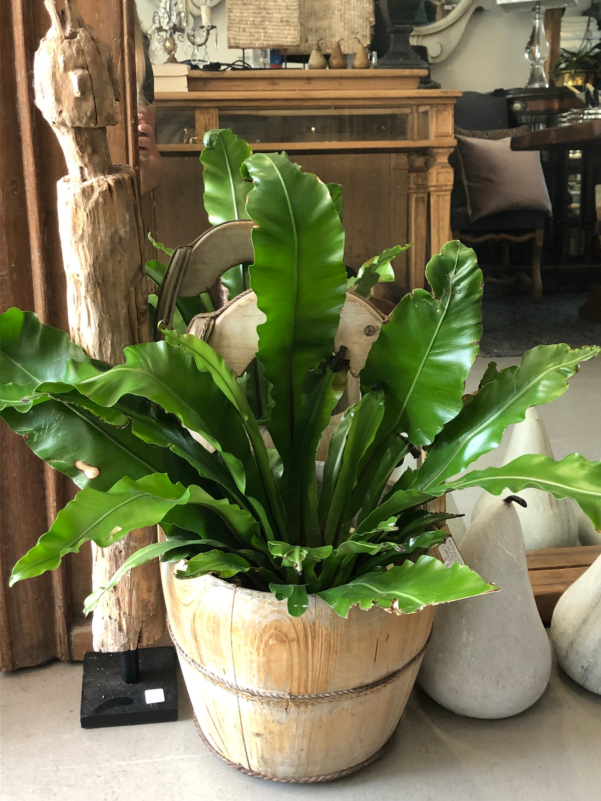 Timber water bucket