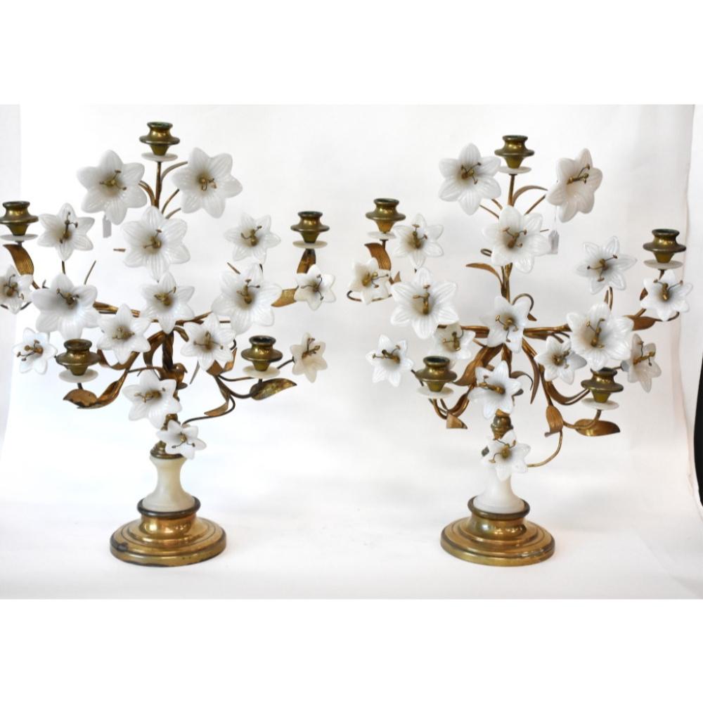Candelabra blossom