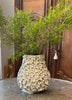 Vase daisy white H31