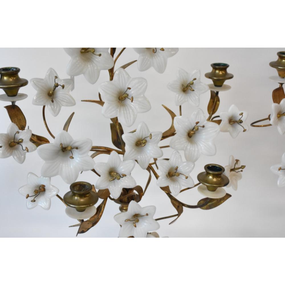 Candelabra blossom