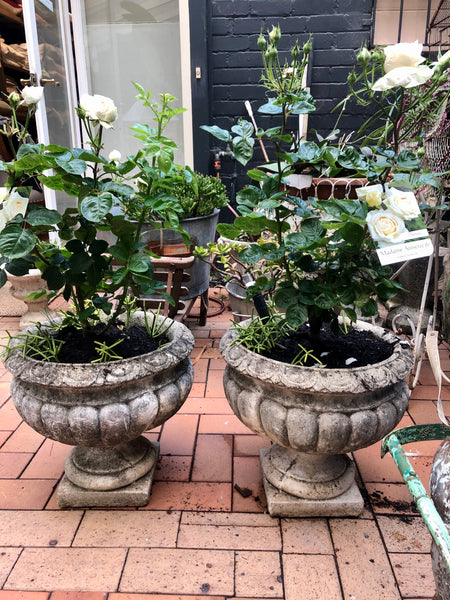 Urn French concrete L pair