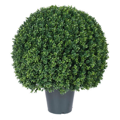 Topiary Ball in Pot