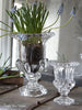 Vase Glass urn style